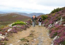 Exposición de Fotografías y Acuarelas del Camino de Santiago (del 2 al 19 de mayo de 2013).