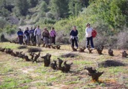 Correr o andar, esa es la cuestión