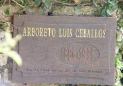 Arboreto de Luis Ceballos en San Lorenzo del Escorial (Madrid)