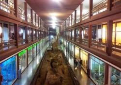 Museo de Ciencias Naturales El Carmen (Onda, Castellón).