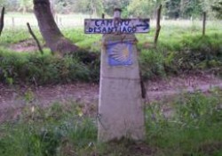 Películas del Camino de Santiago (2 de 3) (Años 2000 a 2009)