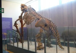 Museo de Ciencias Naturales de Valencia (1 de 2)