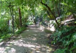 Jardín Botánico Histórico La Concepción (Málaga) (Parte 2 de 4). Descripción de la parte histórica del jardín.
