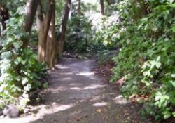 Jardín Botánico Histórico La Concepción (Málaga) (Parte 3 de 4). Jardines Modernos