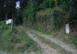 ¿Es fácil perderse haciendo el Camino de Santiago?