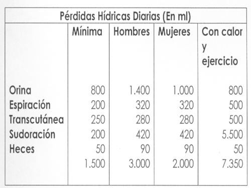 Pérdidas Hídicas Diarias (En ml)_500x375