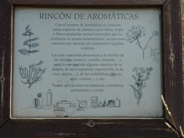 Cartel del Rincón de Aromáticas_600x450