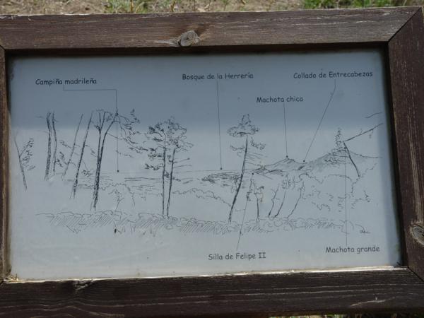Vista panorámica de los alrededores del Arboreto Luis Ceballos. Cartel_600x450