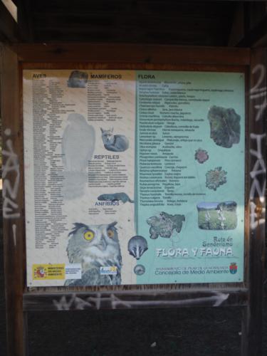 Cartel de la Flora y Fauna de la Ruta de Senderismo Río Seco_375x500