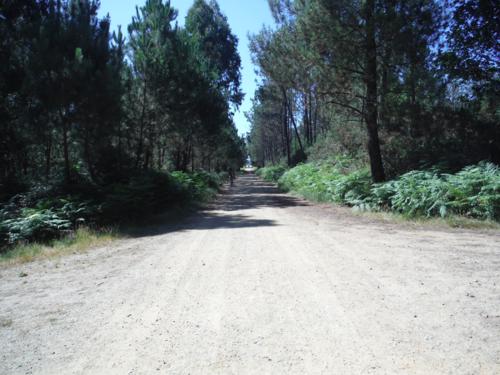 Camino que no se termina a 4 kilómetros de Sigüeiro. De Hospital de Bruma a Sigüeiro