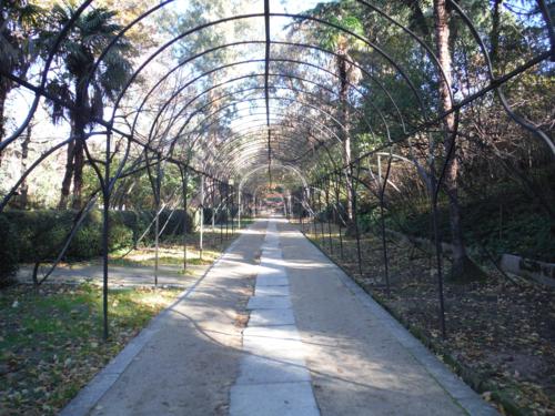 El Real Jardín Botánico de Madrid 