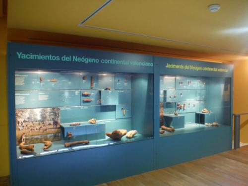 Museo de Ciencias Naturales de Valencia 