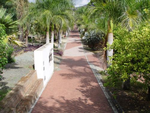 Jardín Botánico Histórico La Concepción (Málaga). Jardines Modernos